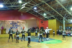 V Muestra Nacional Danza (148) (Copiar)