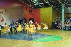 V Muestra Nacional Danza (156) (Copiar)