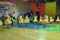 V Muestra Nacional Danza (158) (Copiar)
