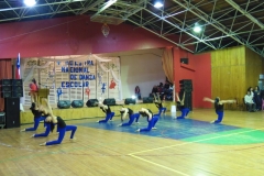 V Muestra Nacional Danza (160) (Copiar)