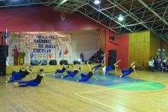 V Muestra Nacional Danza (162) (Copiar)
