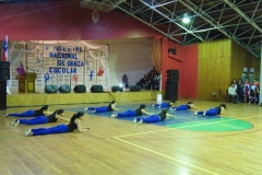 V Muestra Nacional Danza (163) (Copiar)