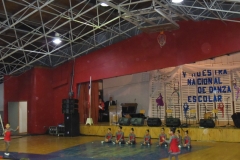 V Muestra Nacional Danza (19) (Copiar)