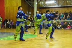 V Muestra Nacional Danza (195) (Copiar)