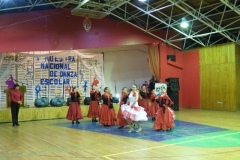 V Muestra Nacional Danza (21) (Copiar)