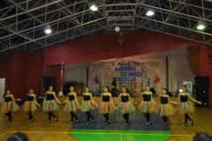V Muestra Nacional Danza (34) (Copiar)