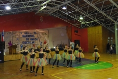 V Muestra Nacional Danza (35) (Copiar)