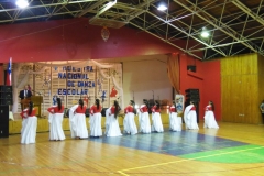 V Muestra Nacional Danza (45) (Copiar)