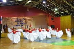 V Muestra Nacional Danza (46) (Copiar)