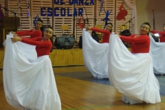 V Muestra Nacional Danza (47) (Copiar)