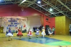 V Muestra Nacional Danza (52) (Copiar)