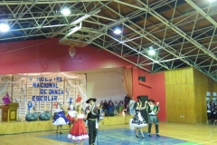 V Muestra Nacional Danza (54) (Copiar)