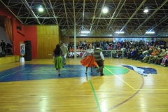 V Muestra Nacional Danza (93) (Copiar)