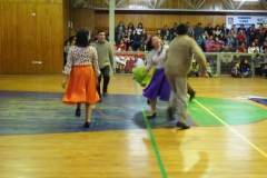 V Muestra Nacional Danza (95) (Copiar)