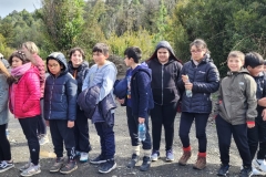 tantauco-1