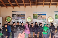tantauco-17