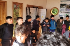 tantauco-19