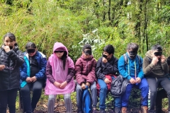 tantauco-8