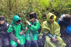 tantauco-9